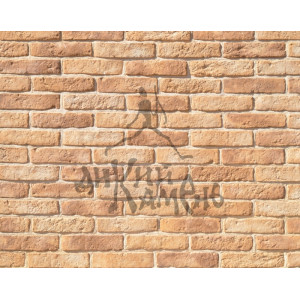 Искусственный камень XVII ВЕК 473