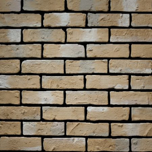 Декоративный кирпич "Алтея" 372