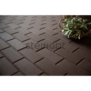 Тротуарная плитка Steingot Прямоугольник 200*100*60 Темно-коричневый (верхний прокрас)