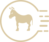 Быстрая доставка